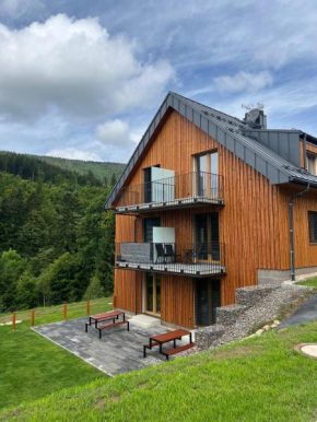 Apartmán - Dolní Morava - 